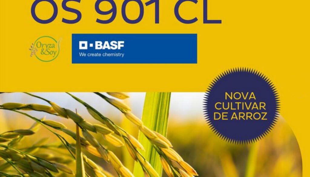 Semeadura direta de genótipos de arroz irrigado em sucessão a espécies de cobertura de inverno