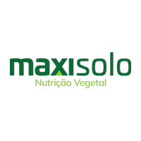 MAXISOLO